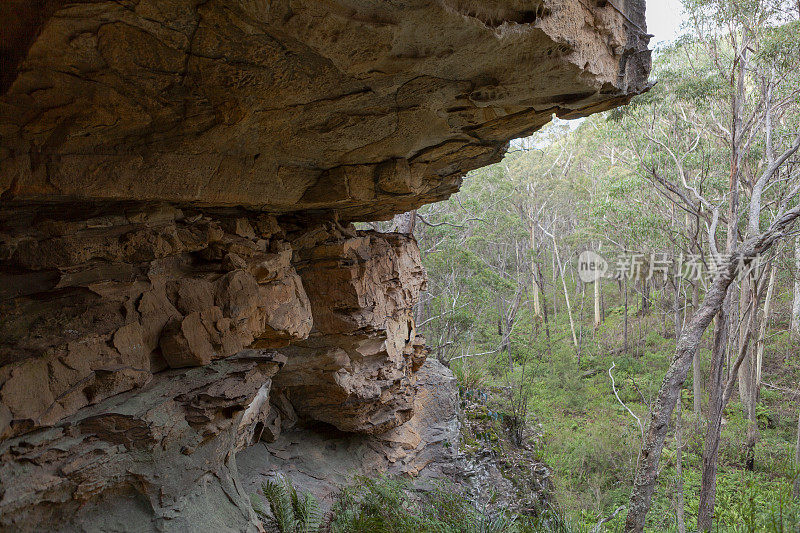 澳大利亚新南威尔士州蓝山国家公园的Wollangambe河/峡谷区